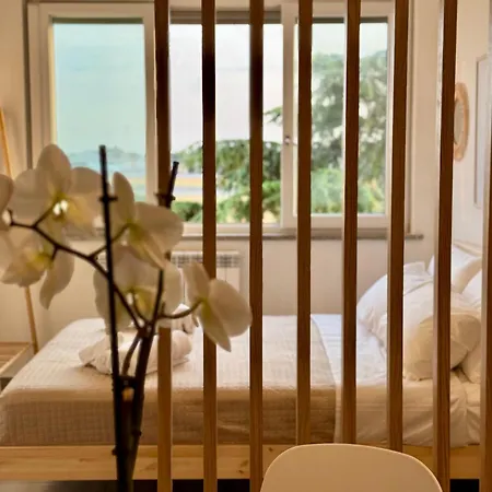 Fly & Chill Apartman