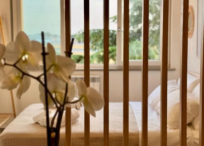 Fly & Chill Apartment